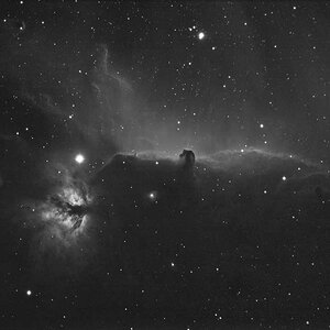IC434 Ha mit der ASI 174 mm cool