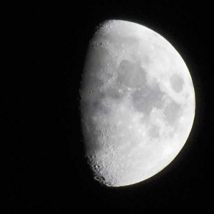 DSCI0694 (2) (800x600).jpg