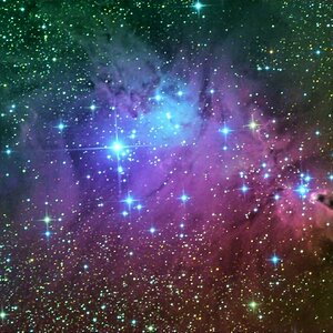NGC2264 mit Konusnebel