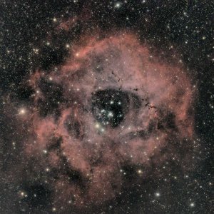 NGC 2244 - Rosettennebel