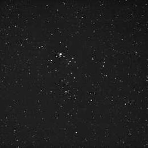 Christmastree-Cluster