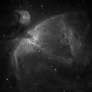 M 42 in S2