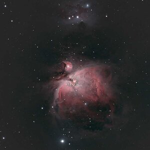 M42 mit nur 8x 180s Belichtungszeit