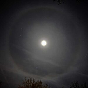 22°-Mond-Halo