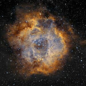 Rosette kurz anbelichtet mit der DSLR in BiColor