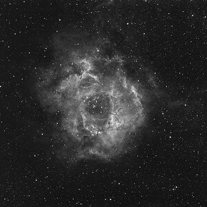NGC2237 Wide