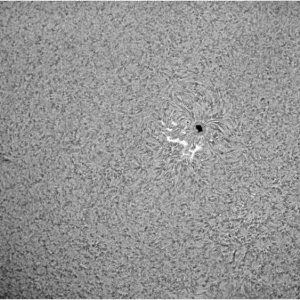 Sonne_Test_2_215.JPG
