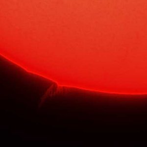 Sun_020416_161339.jpg