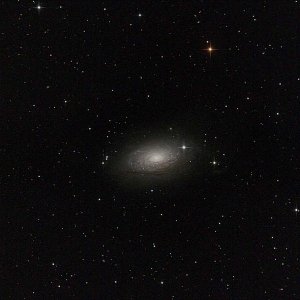 M63 - Sonnenblumen - Galaxie