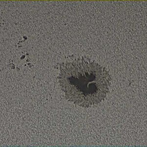 Sonnenfleck AR 12529