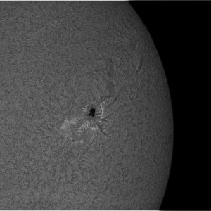 Drizzle15_Sun_140138_g3_b3_ap118_2.jpg