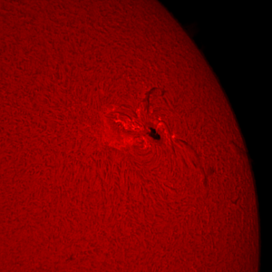 Langsamer Abschied vom AR 12529