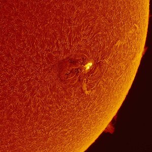 AR 2529 vom Sonntag