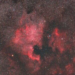 NGC7000 mit System-Kamera