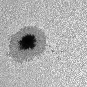AR2546.png