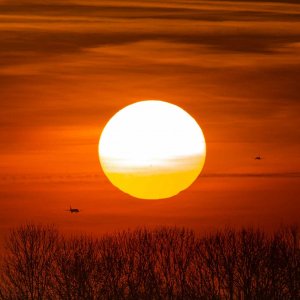 Sonne