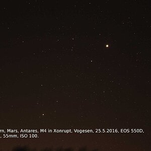 Der Skorpion, Mars und Saturn über Baumwipfeln