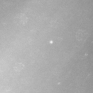 Venus 31. Mai 2016, Sonnenabstand 1,72 Grad