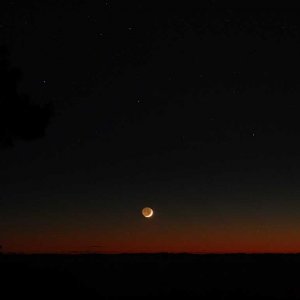 IMG_7673web.jpg