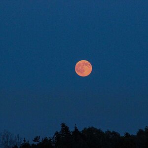 Erdbeermond vom 20.06.2016