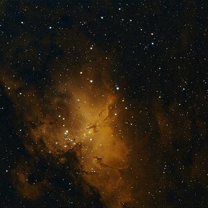 M16 und Adler Nebel