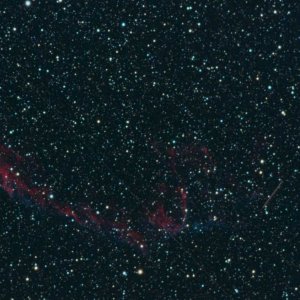 Komt C/2016 A8 in der Knochenhand (Bild+Animation