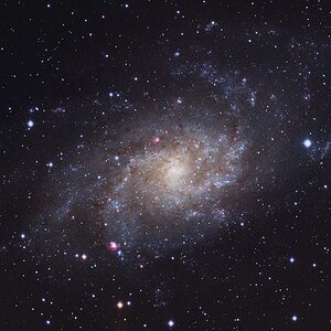 M33