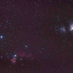 Orion - Vorgeschmack auf kommende Monate