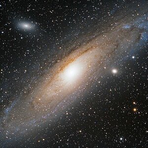M31