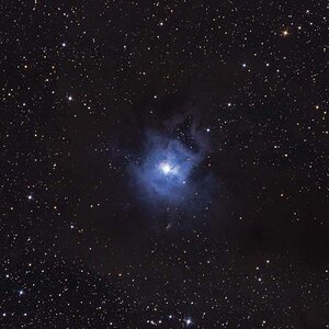 NGC 7023 Irisnebel