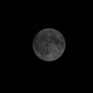 Vollmond