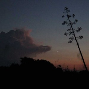Wolkenvenus-web.jpg