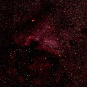 NGC7000_Nordamerikanebel-3.jpg