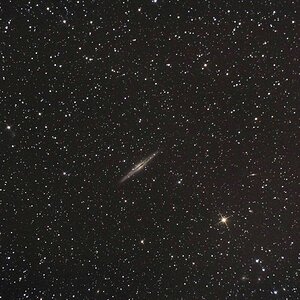 NGC891 mit dem 6"er