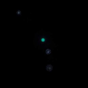 Uranus 7.11.