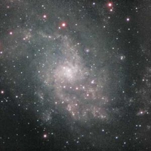 M33