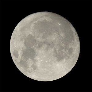 Fast Vollmond am 14.11.2016