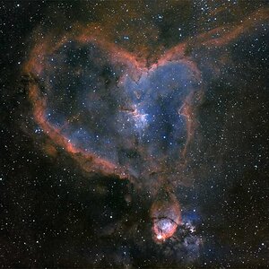 IC1805 Bi Color