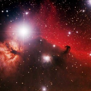 IC434Pferdekopfnebel  NGC2024