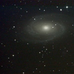 M81 Bodes Galaxie