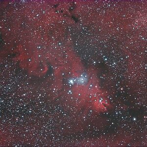 NGC 2246