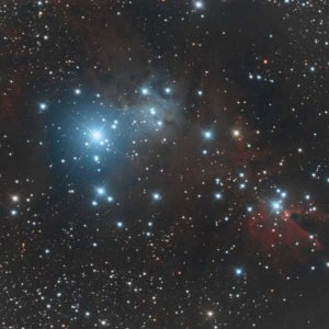 NGC 2264