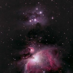 M42 durch Newton Teleskop