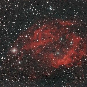 Sh2-261 (Lowers Nebel)