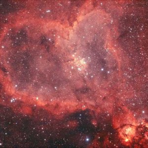 IC1805-RGB-Thumb.jpg