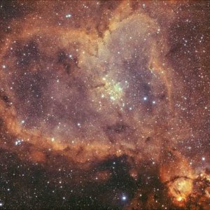 IC1805 Bicolor Thumb.jpg