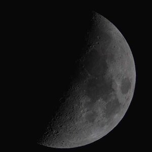 Mond