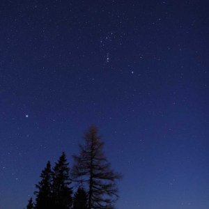 Orion2.jpg