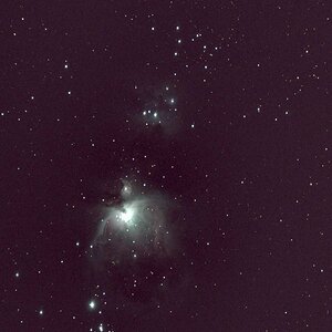 Orion-Neuling
