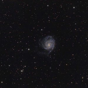 M101-web-2.jpg